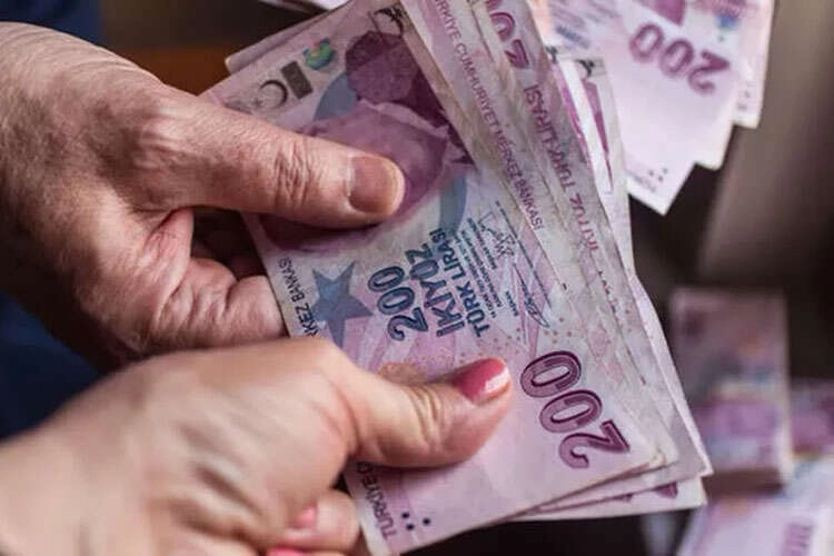 6,3 milyar TL'lik yaşlı ve engelli aylıkları hesaplarda