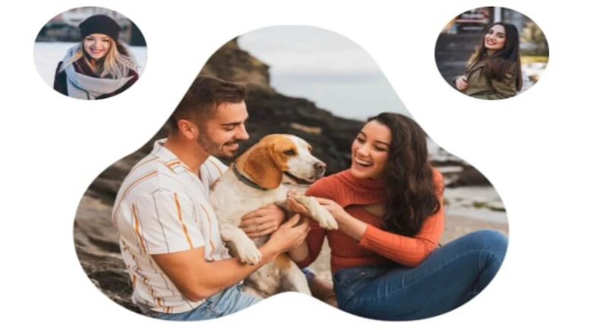 Vettown Veteriner Kliniği ile Sevimli Dostlarınıza G&uuml;venli Bakım